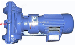 隔膜泵系列,温州电动隔膜泵厂,隔膜泵型号